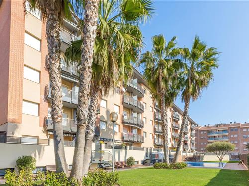 Holiday apartment - 4 persons -  - 17310 - Lloret De Mar
