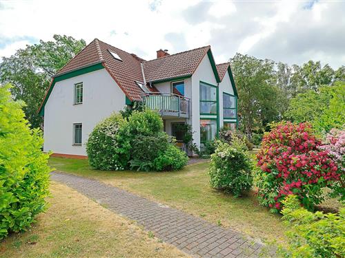 Holiday Home/Apartment - 4 persons -  - Lindenstr. - 18374 - Zingst