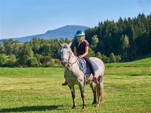 Ferielejlighed - 8 personer -  - Griesbach - 94227 - Zwiesel