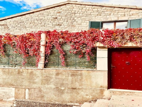 Holiday home - 11 persons -  - 20000 - Dubrovnik