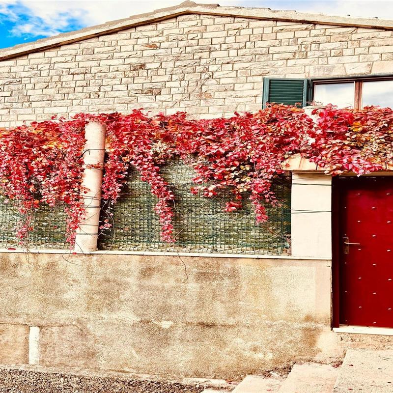 Sommerhus - 11 personer -  - 20000 - Dubrovnik