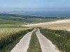 Bild 14