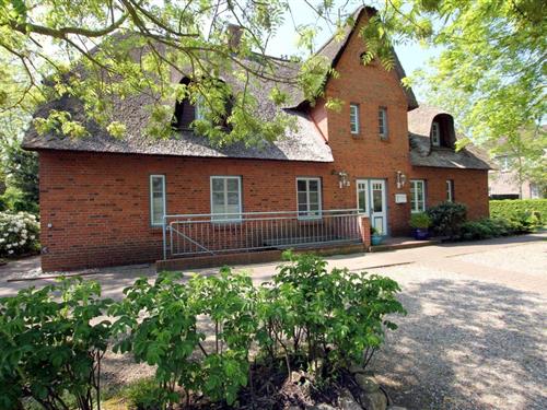 Ferielejlighed - 3 personer -  - But Dörp - 25938 - Wyk Auf Föhr