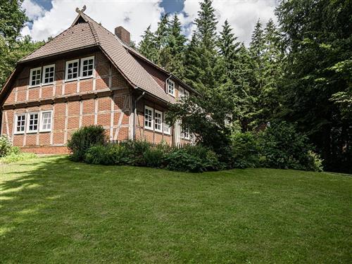 Ferienwohnung - 4 Personen -  - Oberhaverbeck - 29646 - Bispingen