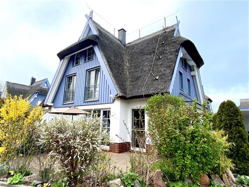 Sommerhus - 4 personer -  - Likedeelerweg - 18374 - Zingst