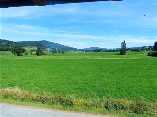 Ferienwohnung - 6 Personen -  - Höll - 93449 - Waldmünchen