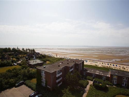 Ferienwohnung - 4 Personen -  - Am Flugplatz - 25938 - Wyk