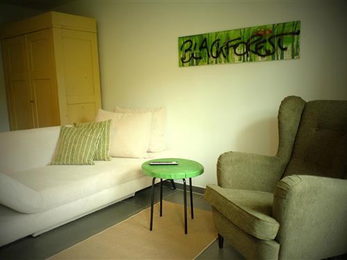 Holiday Home/Apartment - 4 persons -  - Sankenbachstraße - 72270 - Baiersbronn