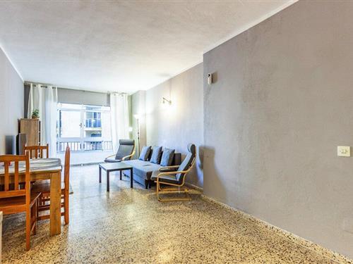 Ferieleilighet - 4 personer -  - Calle Maestro Parada - 03182 - Torrevieja