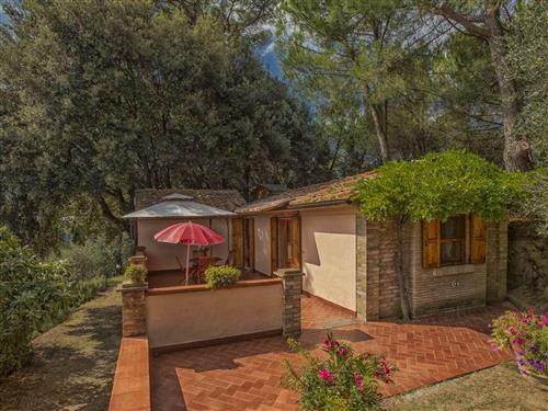 Ferienwohnung - 2 Personen -  - Castelfalfi - 50050
