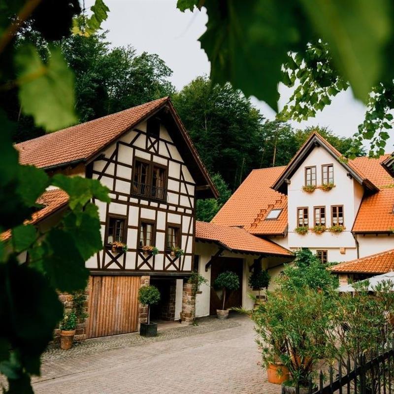 Ferielejlighed - 2 personer -  - Steinstraße - 76889 - Klingenmünster