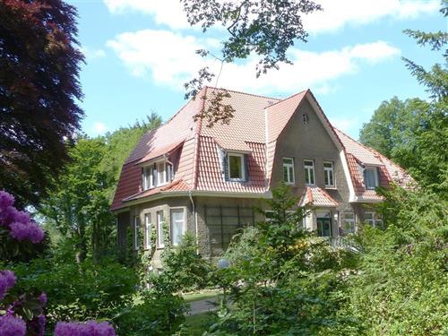 Ferienhaus - 6 Personen -  - Stübeckshorn - 29614 - Soltau