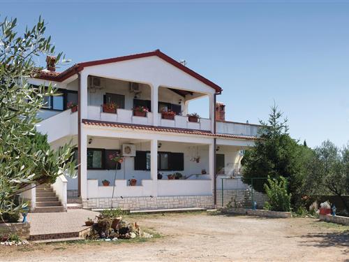 Holiday apartment - 5 persons -  - Peruski - Duga Uvala-Peruski - 52208 - Peruski