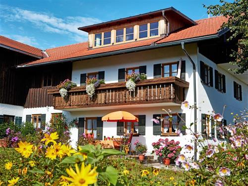 Ferienhaus - 4 Personen -  - Thal - 87484 - Nesselwang