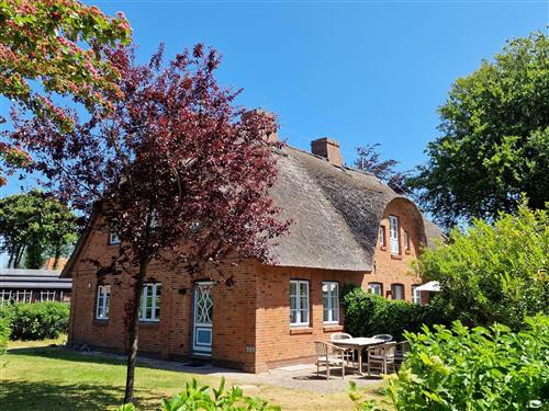 Ferielejlighed - 4 personer -  - Farnweg 7 A - 25938 - Wyk Auf Föhr