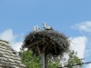 Bild 19 - Aussen