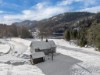 Bild 40 - Ude