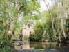 Image 15