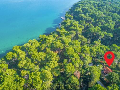 Holiday apartment - 2 persons -  - Munte - 52100 - Premantura