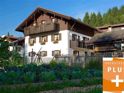 Ferieleilighet - 3 personer -  - Gottfried-Resl-Weg - 87534 - Oberstaufen