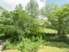 Bilde 9