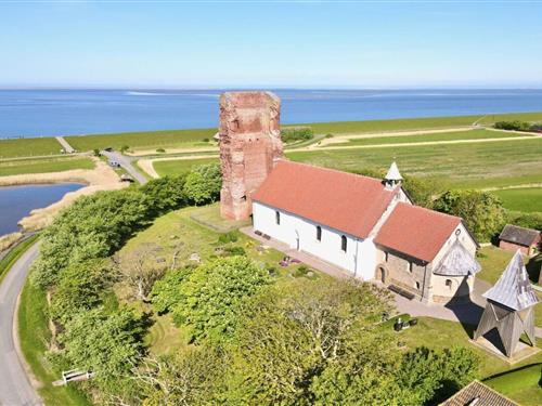 Feriehus - 4 personer -  - 25849 - Pellworm