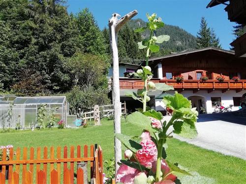 Ferienhaus - 2 Personen -  - Waldweg - 6212 - Maurach