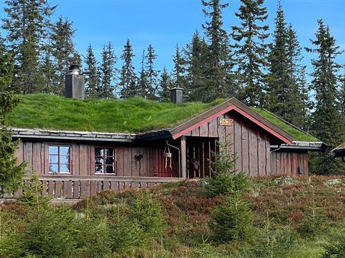 Sommerhus - 6 personer -  - Sjusjøen-brøttum - 2612 - Sjusjøen