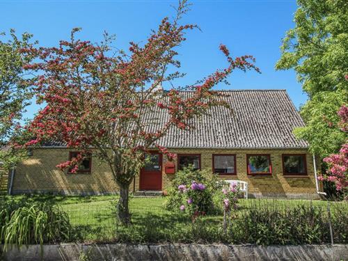 Sommerhus - 6 personer -  - Kolby Hovedgade - Kolby Kås - 8305 - Samsø