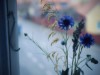 Billede 22
