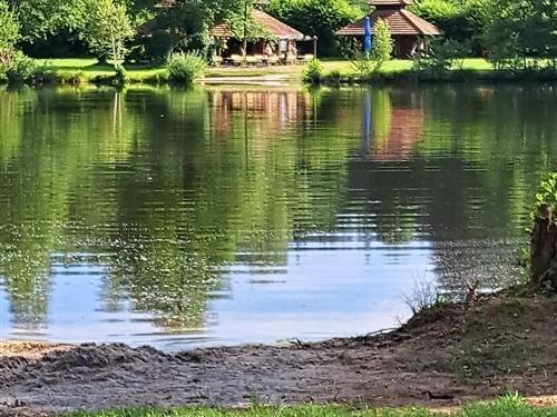 Ferieleilighet - 2 personer -  - Lindenstraße - 66996 - Ludwigswinkel