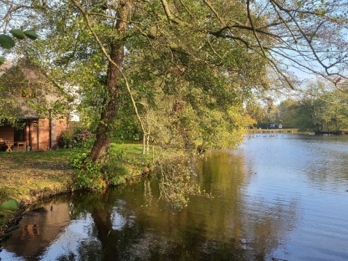Sommerhus - 4 personer -  - Gut Hanerau - 25557 - Hanerau-Hademarschen