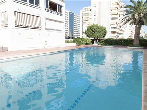 Holiday apartment - 6 persons -  - 46730 - Playa De Gandia, Valencia