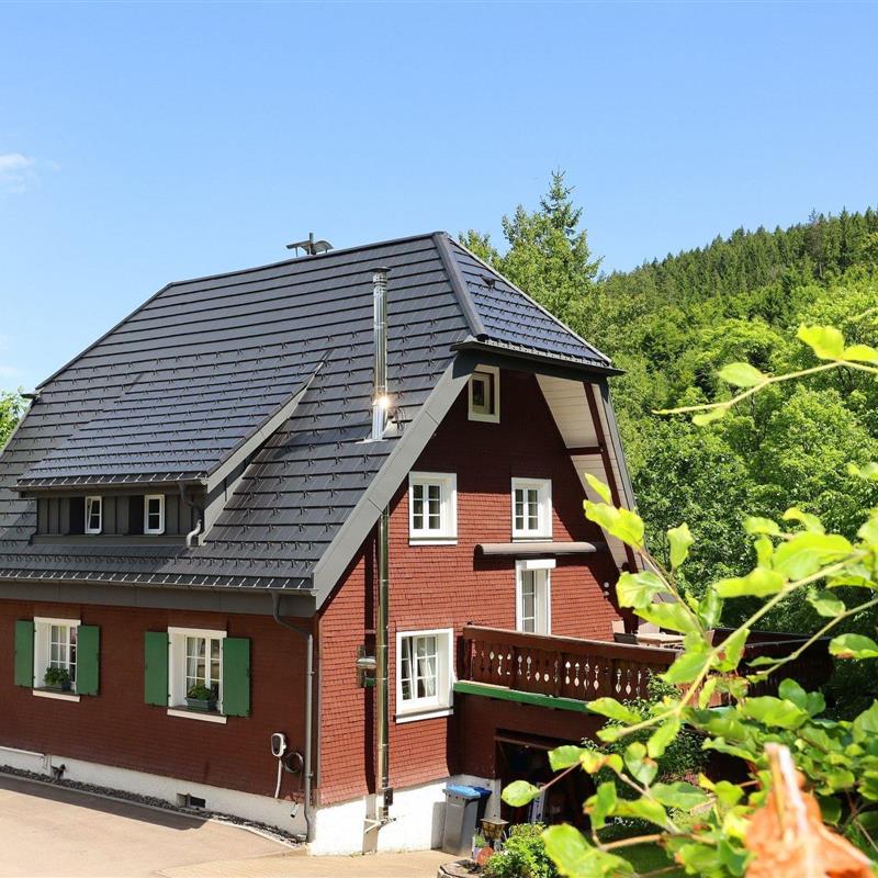 Sommerhus - 6 personer -  - Menzenschwand - 79837