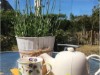 Image 15