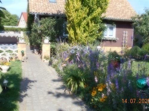 Ferienwohnung - 3 Personen -  - Siedlung - 06493 - Dankerode