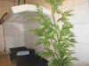 Bild 18