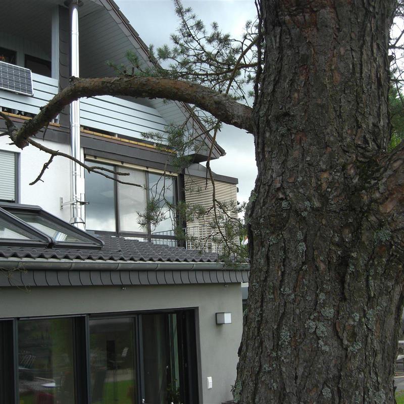 Ferielejlighed - 6 personer -  - Hubertusstr. - 54439 - Saarburg