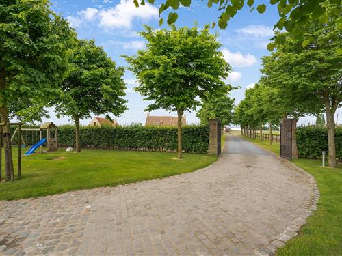 Glamping telt - 6 personer -  - 8740 - Pittem