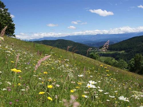 Fritidshus - 4 personer -  - 9554 - St.Urban