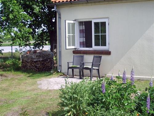 Holiday Home/Apartment - 4 persons -  - Wittorfer Str. - 21357 - Bardowick