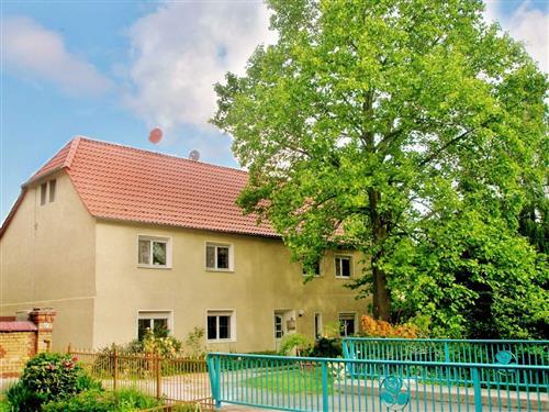 Ferieleilighet - 4 personer -  - Rosenstraße - 02977 - Hoyerswerda
