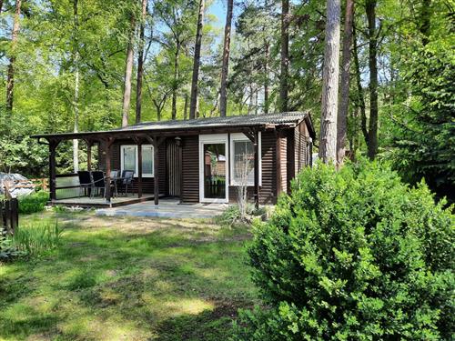 Ferienhaus - 5 Personen -  - Dachsbau - 18181 - Seeheilbad Graal-Müritz