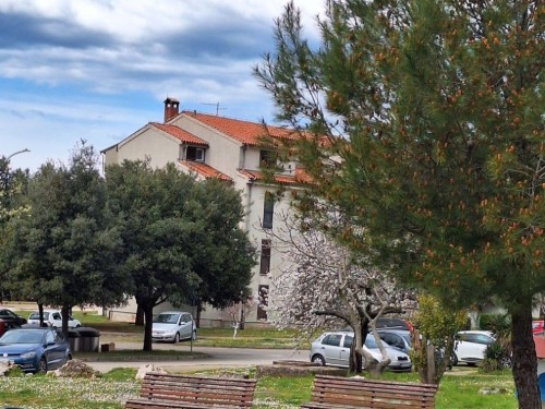 Holiday apartment - 2 persons -  - Rajka Stipe - 52440 - Porec