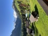 Image 4 - Outside