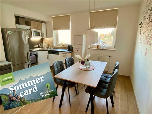 Semesterlägenhet - 4 personer -  - Junghannsstraße - 8967 - Haus Im Ennstal