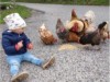 Bild 33