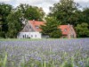 Bild 17