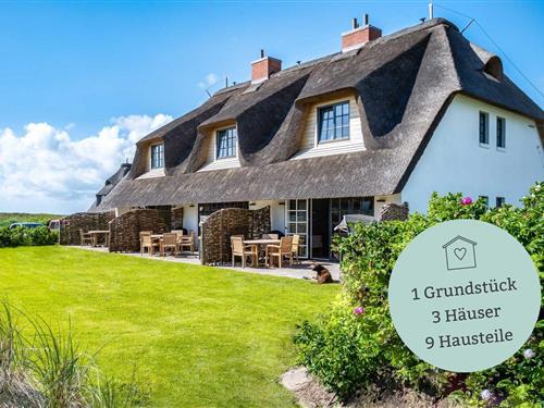 Feriehus - 6 personer -  - Seedüne - 25996 - Wenningstedt-Braderup (Sy