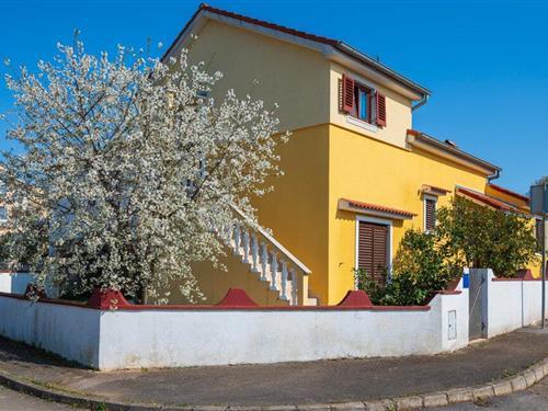 Holiday apartment - 2 persons -  - Lovezica - 52100 - Pula